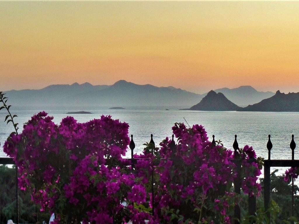 Sunset Mavi Villa Turgutreis Kültér fotó